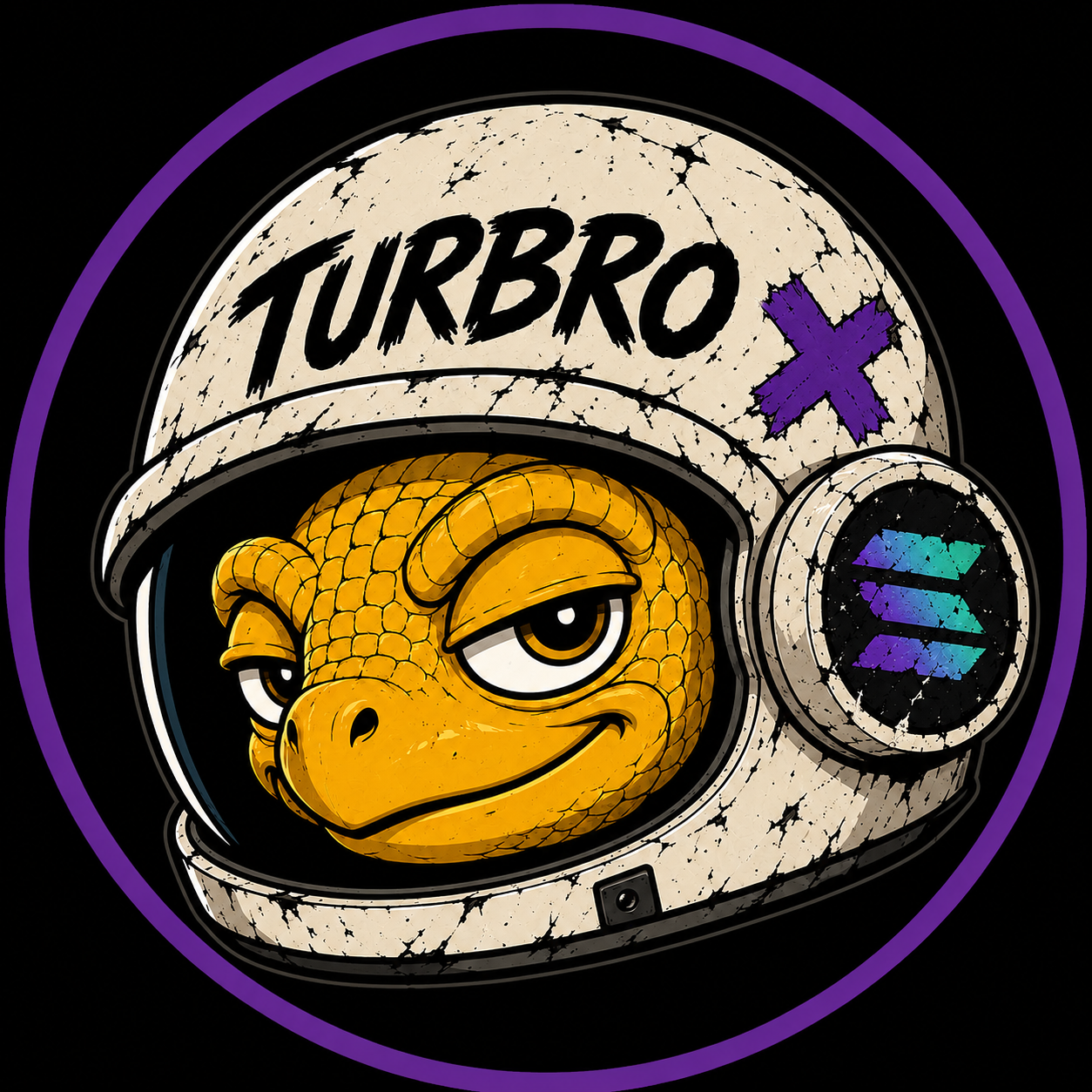 Turbro Helmet Logo